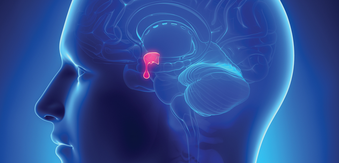 Pituitary Disorders treatment